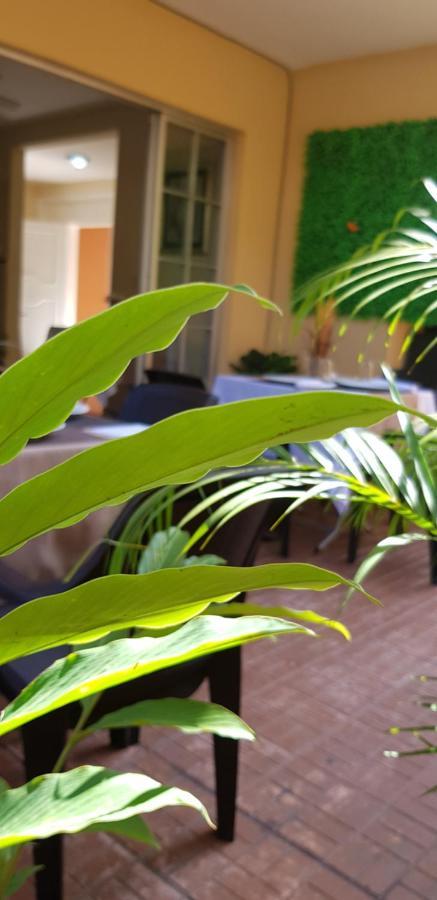 Mh Boutique Hotel 산페드로술라 외부 사진